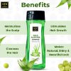NTN Amla Aloevera Shampoo With Green Tea - 400ml