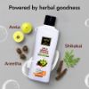 Picture of NTN Amla Areetha Shikakai Herbal Shampoo 200ml